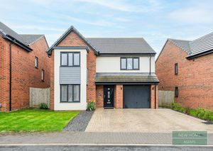 Photo 25- click for photo gallery